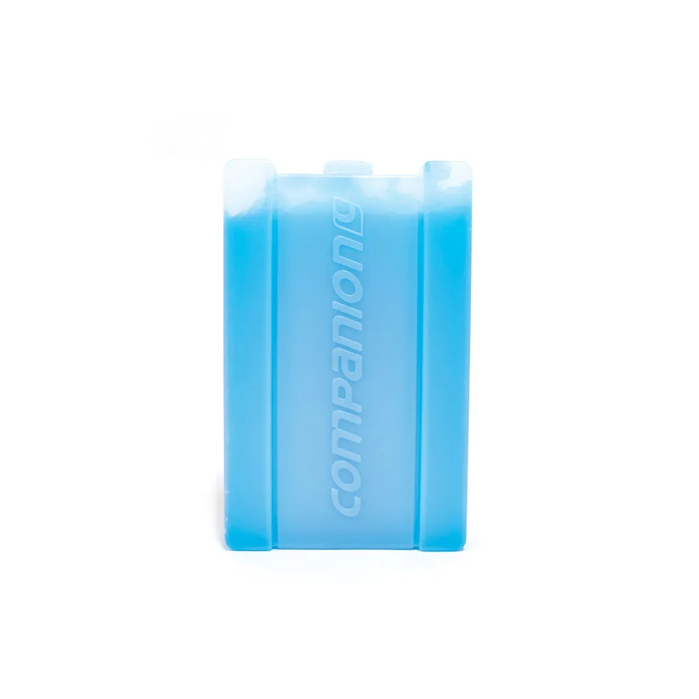 Companion Ice Brick