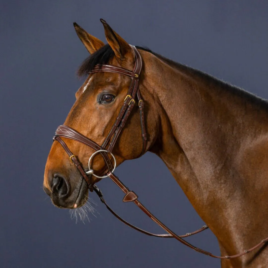 Dy'on Anatomic Flash Jumper Bridle