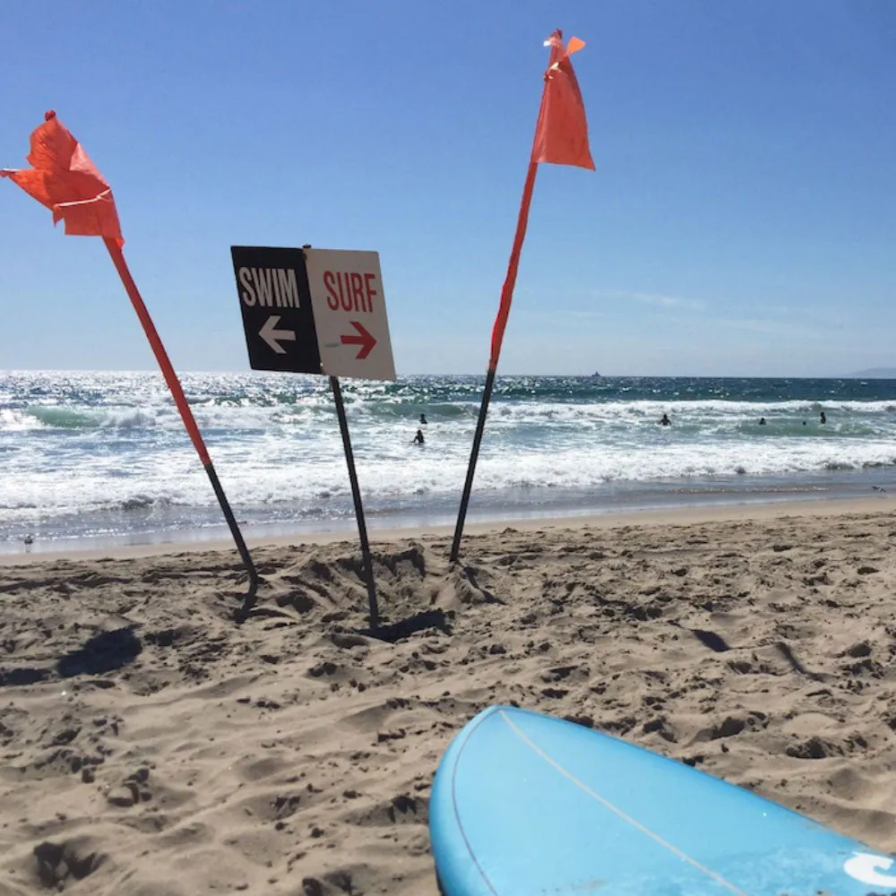 Swim or Surf art poster