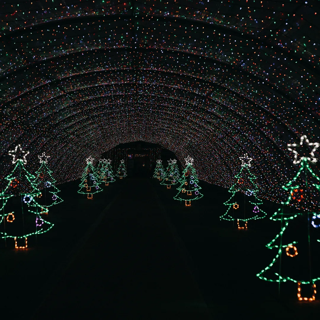 Tuesday, December 17th