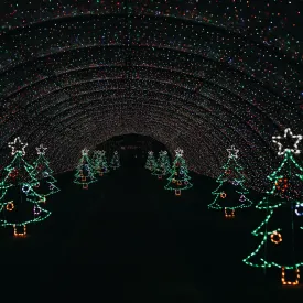 Tuesday, December 17th